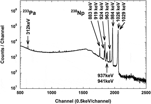 Figure 8. An example of γ-ray spectrum obtained from the measurement of the irradiated 237Np sample without the Gd filter (the bare target).