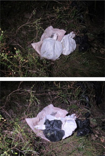 Figure 1. Plastic bags in which the body parts were found at the crime scene.