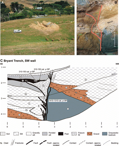 Fig. 3  (A) The Bryant trench site in the Ohariu Valley (view to the southeast). Yellow arrows denote the surface trace of the Ohariu Fault. (B) Photograph of the southwest wall of the Bryant trench showing the major faults (bold red lines, dashed across the bench). (C) Summary trench log of the southwest wall of the Bryant trench (T08/1). Unit numbers, colours, radiocarbon ages, and grid numbers are as described in the caption for Fig. 2C. (D) Photograph of the northeast wall of the Bryant trench. Major faults (bold red lines) and key contacts (thin black lines) are shown. (E) Summary trench log of the northeast wall of the Bryant trench (T08/1). Unit numbers, colours, radiocarbon ages, and grid numbers are as described in the caption for Fig. 2C.