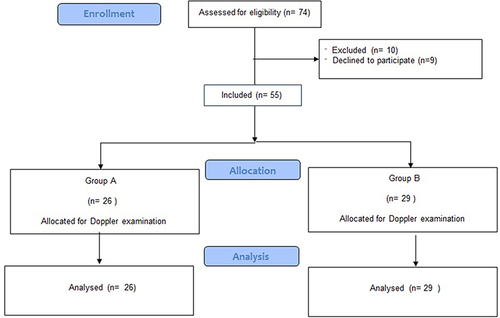 Figure 1 The flow diagram of included patients for ultrasonographic examination.