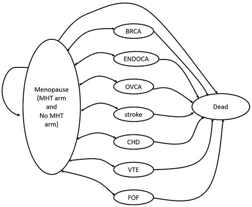 Figure 1. Structure of the cohort Markov model.