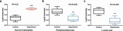 Figure 7. Statistical assessment of differentially expressed metabolites in pathways listed in Figure 6. P = phosphate.