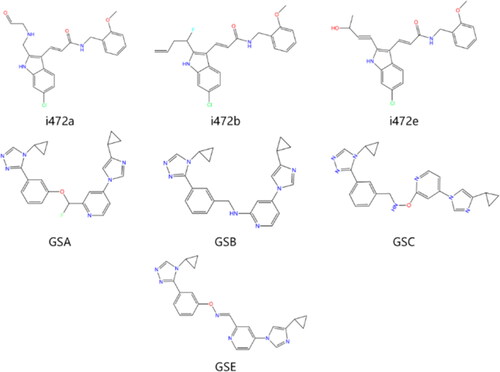 Figure 5. Final selection of the lead compound structure.