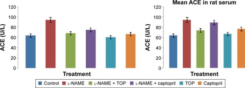 Figure 2 Serum ACE activity levels of groups (P<0.05).