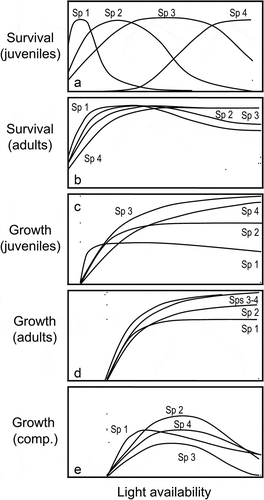 Figure 2. Idealised survival (a–b) and growth (c–e) responses to light availability in four species of contrasting shade tolerances. While species 1 is a typical shade tolerator, species 4 does not tolerate shade, and the other two species represent various intermediate cases. Different responses are observed in juveniles (a and c) and adults (b and d–e) of the very same species, with adults exhibiting less pronounced interspecific differences in their responses to light than juveniles. Competition (e; when growth response is analysed in multi-specific scenarios) affects non-linearly the response to light, tending to decrease growth for a given light availability.