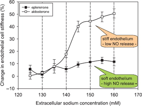 Figure 1. Changes in endothelial cell stiffness in response to increasing sodium concentration measured in buffered electrolyte solution (constant osmolality). Endothelial cells were cultured 3 days prior to the experiments in either aldosterone (0.45 nM) containing or eplerenone (2 μM) containing media. Stiffness measurements were started with 120 mM sodium in the solution (reference solution). Exposure time to one individual sodium concentration was about 3 minutes. Stiffness measurements obtained in cells bathed with 120 mM sodium served as the respective reference values. Mean values of ten independent measurements per series of experiments are given ± SEM (modified from (Citation22)).