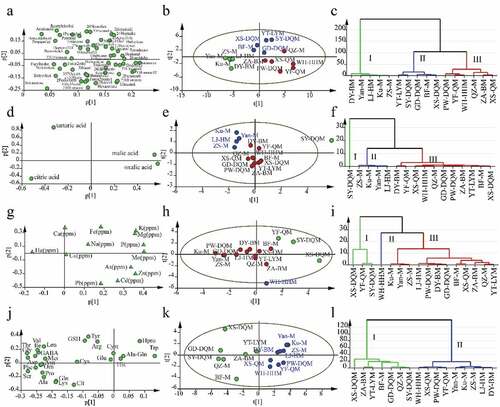 Figure 2. PCA and HCA and analysis of volatile composition (a, b, c), organic acids (d, e, f), minerals (g, h, i), and amino acids (j, k, l). The HCA analysis was calculated with Ward and sorted by size.