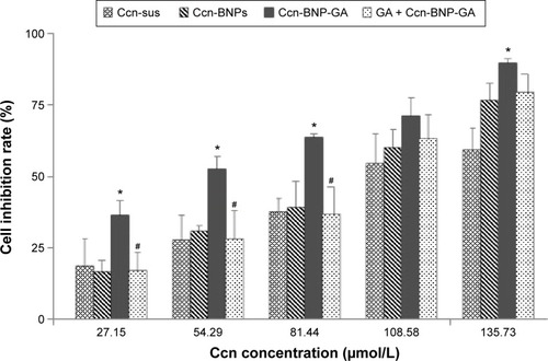 Figure 6 In vitro cytotoxicity of Ccn-sus, Ccn-BNPs, Ccn-BNP-GA, and GA + Ccn-BNP-GA against HepG2 cells for 24 hours.Notes: Each point represents the mean ± standard deviation (n=6). *P<0.05 compared with Ccn-BNPs, #P<0.05 compared with Ccn-BNP-GA.Abbreviations: Ccn-sus, curcumin suspension; Ccn-BNPs, curcumin-loaded albumin nanoparticles; Ccn-BNP-GA, curcumin-loaded albumin nanoparticles surface-functionalized with GA; GA, glycyrrhetinic acid.