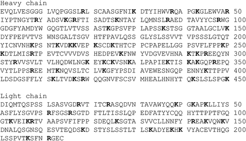 Figure 2. The amino acid sequences of the heavy and light chains from trastuzumab. Bolds indicate Lys (K) and Arg (R). The C-terminal side of Lys was cleaved by trypsin and Lys-C; the C-terminal side of Arg was cleaved by trypsin. The amino acid sequence was confirmed according to the WHO International Nonproprietary Names (INNs) list. Trastuzumab emtansine, WHO Drug Information, Vol. 25, No. 1, 2011, Recommended INN: List 65, P89.