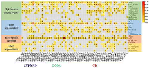 Figure 5. Analysis of the cis-acting elements of the CqCYP76AD, CqDODA and CqGts genes.