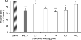 Figure 1 Effects of chamomile extract on the casein-induced chemotactic activity of human leukocytes. Peripheral blood leukocytes obtained from healthy volunteers pretreated for 30 min at 37°C with DEXA (10−5 M) or chamomile extract at indicated concentrations were induced to migrate toward 1% casein gradient for 90 min at 37°C in a Boyden chamber in which the compartments were separated by a 5-µm pore size polycarbonate filter. Each column represents the mean %±SEM of total cells recovered from the lower compartment in relation to untreated cells, normalized at 100% from at least three individual experiments (*p < 0.05; **p < 0.025; ***p < 0.0005).