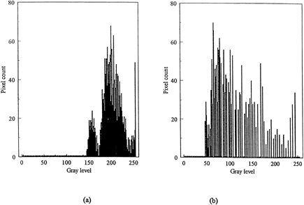 Figure 1. Gray level histogram of medium grain rice: (a) original image; and (b) after gamma correction and histogram equalization.