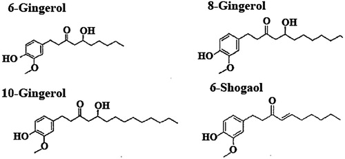 Figure 1. Structure of 6-gingerol, 8-gingerol, 10-gingerol and 6-shogaol (Zick et al. Citation2010).