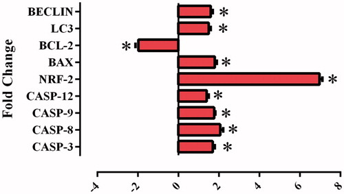 Figure 8. Effects of sulphonamide 1 (25 µM)) on the expression of apoptotic (caspase-3, caspase-8, caspase-9, caspase-12 and Bax), anti-apoptotic (Bcl-2) and autophagy (LC3, Beclin) related genes. The data are presented as the mean ± SD (n = 3). *p < 0.01 compared with the control.