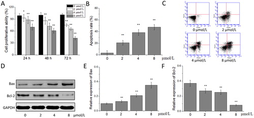 Figure 1. Effects of acetylshikonin on the proliferation and apoptosis of A375 cells. Cell proliferative ability (A); apoptosis rate (B); flow cytometry analysis (C); western blot analysis (D); relative expression of Bax (E) and Bcl-2 (F). Each value is presented as mean ± SD (n = 5); *p < 0.05, vs. 0 μmol/L acetylshikonin group; **p < 0.01, vs. 0 μmol/L acetylshikonin group.