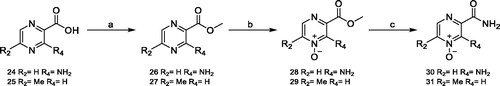 Scheme 3. Reagents and conditions. (a) TMS-diazomethane, toluene/methanol, 0 °C, 30 min, 95%; (b) MTO, 35% aqueous H2O2, EtOH, RT, 3 h, 78%; (c) NH4OH, RT, 3 h, 98%.