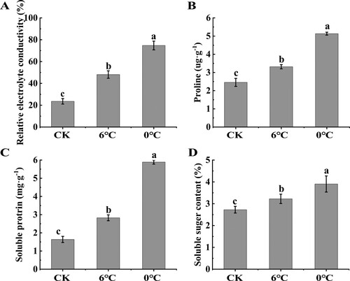 Figure 9. Analysis of relative electrolyte conductivity (A), proline (B), soluble protein (C) and soluble sugar (D) contents under low temperatures.