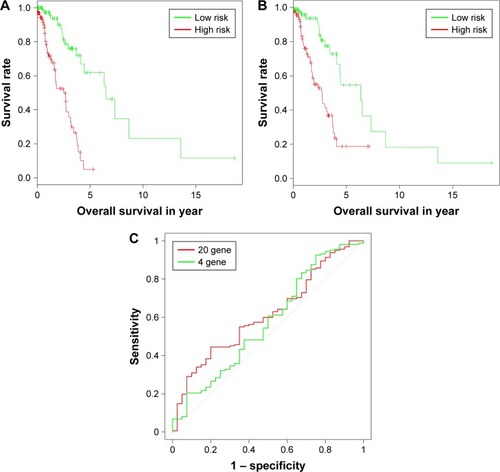 Figure 4 Sensitivity analysis for prognostic score20 and prognostic score4 in testing set. (A and B) The Kaplan–Meier plot of samples in testing set with higher and lower prognostic score20 and prognostic score4, respectively. (C) Receiver operating characteristic curves for the expression of 20 genes and four genes.