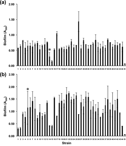 Figure 1. Absorbance measured at 590 nm after treated by crystal violet assay for the isolated strains under aerobic (a) and anaerobic (b) conditions. Data are the average of the absorbance at 590 nm of each strain obtained from duplicate experiments. Error bars indicate standard deviations from the means. White bar indicates background. Asterisks indicate the strains that did not show 2-fold or greater difference in the A 590 values between the strains and the background with 95% confidence.