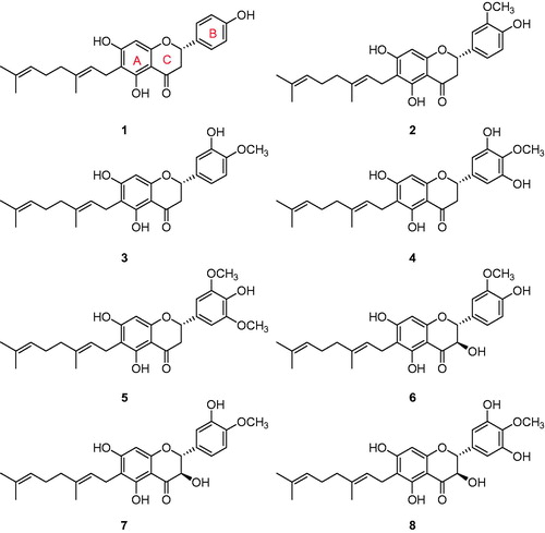 Figure 1. Chemical structures of isolated geranyl compounds (1–8) from the fruits of P. tomentosa.