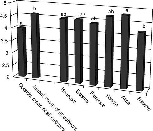 Figure 1.  Growth of cultivars in the first year of trial (2005) according to a 5-point rating (0–5, 5 best), 11 weeks after planting. Comparison between tunnel and outside tunnel is based on means of all cultivars. Comparison between cultivars is based on cultivar means of tunnel and outside tunnel growth. Columns with the same letter (comparisons tunnel-outside or within cultivars) are not significantly different.