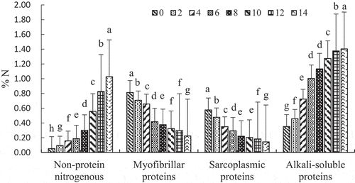 Figure 2. Fractions of each protein in skate muscle during fermentation