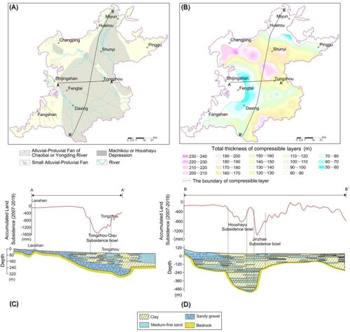 Figure 11. (A) The distribution diagram of two large-scale Alluvial–Proluvial Fan and some small sedimentary depressions in the Late Pleistocene of Quaternary (Cai et al. Citation2009); (B) is the total thickness map of Quaternary compressible layers. (C) and (D) are schematic representations to show geological strata and land deformation along Line AA' and BB', which are both marked by the black lines in (A) and (B) and the two profiles further reveal that land subsidence bowls generally arise in thick multi-layer compressible clay (Cai et al. Citation2009; Lei et al. Citation2016).