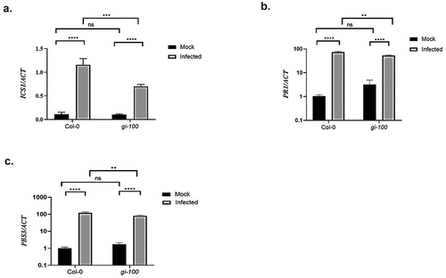 Figure 4. Transcripts accumulation of key genes involved in the Salicylic acid pathway during Hpa Noco2 infection. Relative abundance of ICS1 (a), PR1 (b) and PBS3 (c) transcripts, derived from qRT-PCR, after 48 h of Noco2 inoculation in gi-100 as well as Col-0 lines of Arabidopsis. Values are expressed as mean ± SD. The Y-axis represents the 2−^CT of ICS1 gene and log10 (2−^^CT) of PR1 and PBS3 transcription. Transcripts levels were normalized with the internal control gene, ACTIN1. Three biological replicates were used for the experiments. To test for significance among the dataset, a two-way analysis of variance (ANOVA) followed by Tukey’s multiple comparisons test was performed using GraphPad prism software at *p < .05. ** p < .01, *** p < .001.