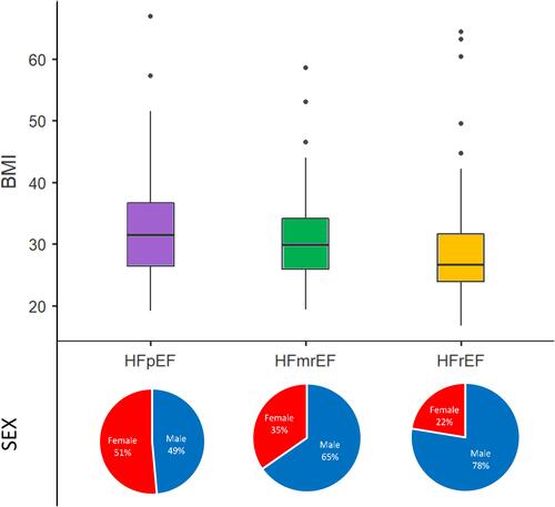 Figure 1 Body mass index and sex distribution among the 3 categories of heart failure. BMI comparison – Kruskal–Wallis test (P<0.001). Sex comparison – Chi-square test (P<0.001).
