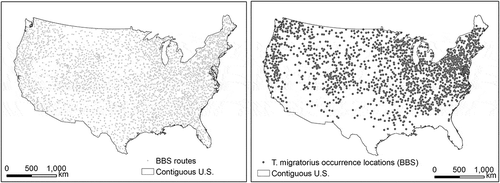 Figure 2. BBS routes and occurrence locations of T. migratorius in June 2012.