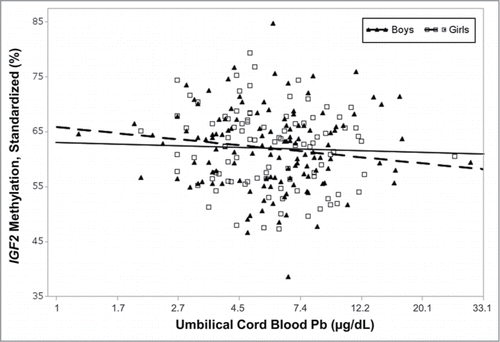 Figure 2. Umbilical cord blood Pb and IGF2 methylation stratified by sex. Percent methylation in umbilical cord blood leukocyte DNA of the imprinted gene, IGF2, decreased with cord blood Pb solely in girls. After adjusting for gestational age and maternal folate intake, one natural-log unit increase in cord blood Pb was associated with a 3% decrease in IGF2 methylation among girls (P = 0.04) and the decrease among boys was not significant (P = 0.66). IGF2 data were first adjusted by a standard curve of known methylated or unmethylated controls from each experimental batch.