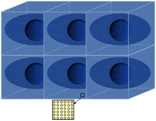 Figure 1 A schematic 3-D view of the simulated geometries. In the homogeneous model, spherical GNPs are homogeneously distributed in the whole medium. In the heterogeneous model, the spheres of GNPs have uniformly localized in the cytoplasm of each cell (ellipsoidal volumes). In both models, the nuclei (central spheres) are excluded to be filled with GNPs, and the free space between the GNPs is filled with water. Number of cells and dimensions are not to scale.Abbreviation: GNPs, gold nanoparticles.