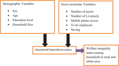 Figure 1. Conceptual framework.