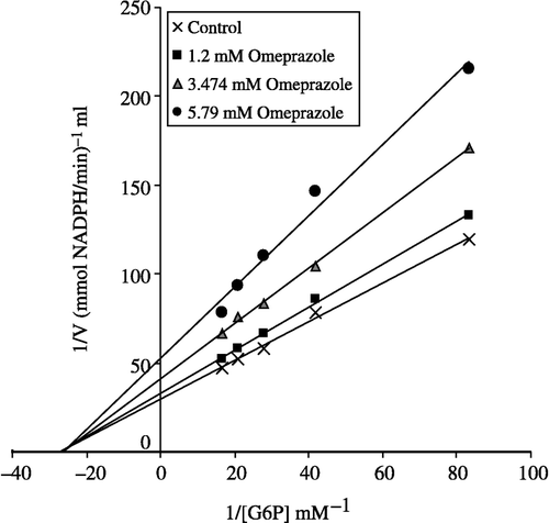 Figure 7 Lineweaver–Burk graphs for G-6PD in presence of three constant omeprazole and five different substrate concentrations.