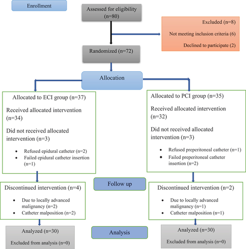 Figure 1. CONSORT flow chart of the participants.