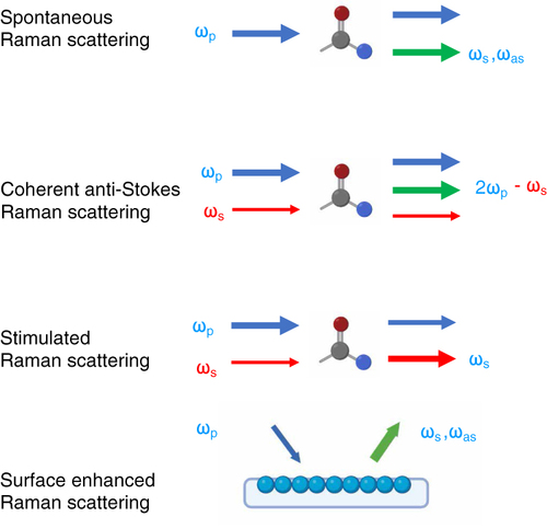 Figure 2 The interactions between light and molecular vibrations related to four types of Raman techniques including spontaneous RS, CARS, SRS, and SERS. ωp, ωs, and ωas represent the frequencies of the incident radiation, Stokes beam, and anti-Stokes beam, respectively.