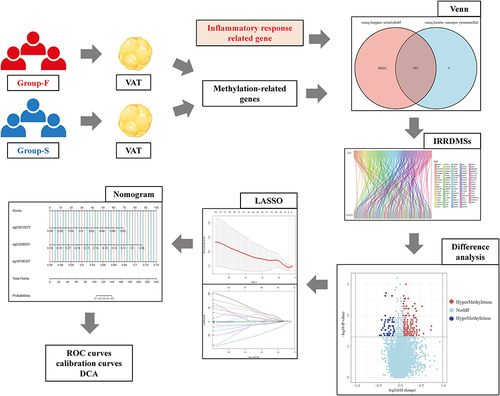 Figure 1 Design and workflow of the study.