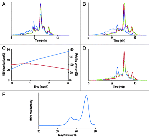 Figure 2. Overlay of IEX-HPLC chromatograms of mAb B samples stored for one month (A) and three months (B) at -80°C, 2–8°C, 25°C and 40°C. Evolution during stability studies of relative amount of deamidation at HCAsn55 (N55, blue trace) and mAb B potency (red trace) (C). Overlay of IEX-HPLC chromatograms of mAb B samples stored for one month at 40°C at pH 4.5 and pH 6.0 (D). Thermal unfolding profile of high concentration solution (190 mg/ml) of mAb B (E).