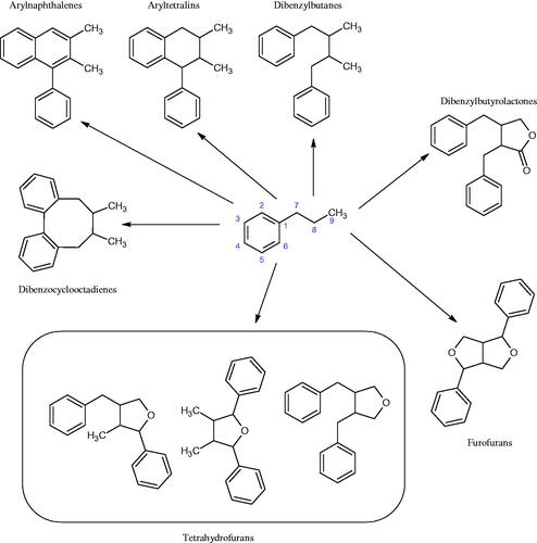 Figure 18. Chemical classification of lignans.