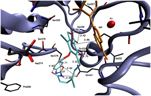 Figure 1. Docked binding mode and distances to the amino acid residues of IMPDH enzyme’s active site for compound A2.