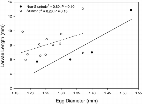 Figure 2. Relationship between egg diameter and the total length of 3-week-old bluegill larvae that were spawned in experimental tanks. Points denote mean values for each tank. Trend lines (solid for non-stunted, dashed for stunted) show the best-fit least-squares linear regression line for each source population.