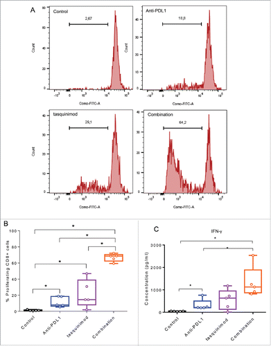 Figure 7. Combining a modulator of infiltrating-myeloid cells and an inhibitor of PD-1/PD-L1 axis increases T cell proliferation and T cell producing IFNγ. Myeloid cells CD11b+ were isolated from tumors using BD FACSAria II (BD Biosciences). T cells were isolated from spleen of naive mice using mouse pan T cell isolation Kit (Miltenyei). CFSE-labeled T cells were stimulated with CD3/CD28 beads ratio 1:1 (Life Technologies). Stimulated T cells were cultured with CD11b+ (at a ratio CD11b:T cells of 1:1) and incubated for 72 h at 37°C. (A) Representative histograms obtained by FACS analysis showing the fluorescence intensity of CFSE-T cells gated on CD8+. (B) The percentage of proliferating CD8+ cells from the different treated groups is shown. (C) IFNγ secretion in the supernatant of the co-culture is measured 72 h following incubation at 37°C using Luminex Technology. Experiments were repeated twice (Kruskal–Wallis test, *p < 0.05).