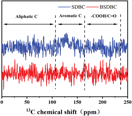 Figure 1. 13C NMR spectra of SDBC and BSDBC.