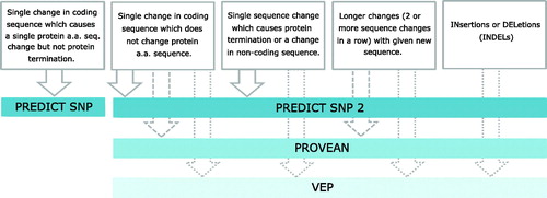 Figure 1. Algorithm flow chart. For each type of mutation present, a sequence of different algorithms was used to predict the effect on the protein and organism. The color of algorithm panel represents its effectives. The darker the color, the more effective the evaluation.