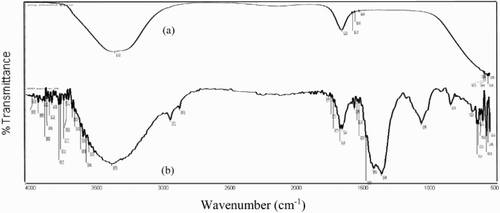 Figure 12. FT-IR spectra of (a) pure PEG, (b) surface film formation.