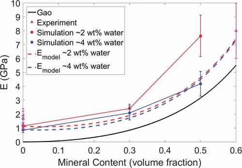 Figure 5. Compressive Young’s modulus vs. bio-composite mineral content of experimental, simulation, and predictive model results. The MD simulation compressive modulus is for bio-composites with water contents of 2 wt% (red) and 4 wt% (blue)