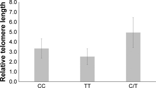 Figure 1 Telomere length difference according to rs401681 polymorphisms. Telomere length was not different according to rs401681 polymorphisms (p=0.802).