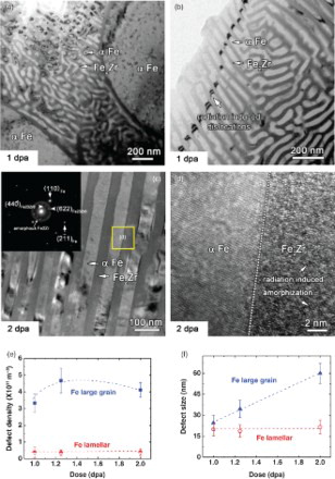 Figure 2. Microstructure evolution of α−Fe/Fe2Zr nanocomposites subjected to in situ Kr ion irradiation up to two displacements-per-atom (dpa). (a) At 1 dpa, TEM micrograph showing abundant defect clusters in the large α-Fe grains. In contrast, smaller defect clusters were observed in cellular areas, residing at the phase boundaries and remained stable during successive irradiation experiments. (b) α-Fe layers in irradiated nanolaminates were mostly clean, with sporadic dislocation loops. Little defect clusters were detected in the irradiated Fe2Zr layers. (c) At 2 dpa, a TEM micrograph of irradiated nanolaminate shows the retention of sharp layer interfaces between α-Fe and Fe2Zr. The halo ring in the inserted SAD pattern reveals the formation of amorphous Fe2Zr. (d) An HRTEM micrograph along the interface showing amorphization of Fe2Zr in irradiated nanolaminates. α-Fe remained a crystalline structure. Comparison of dose-dependent evolution of defect clusters in α-Fe in large grains and nanolaminates. (e) Defect density in α-Fe large grains increased rapidly during the initial irradiation, and appeared to reach saturation by ∼1.25 dpa. In comparison, defect density in α-Fe in nanolaminate was nearly an order of magnitude lower and barely changed up to 2 dpa. (f) In large α-Fe grains, defect size increased monotonically with dose to ∼60 nm up to 2 dpa, in drastic contrast to nearly unchanged defect dimension of ∼20 nm in the α -Fe layers in nanolaminates.