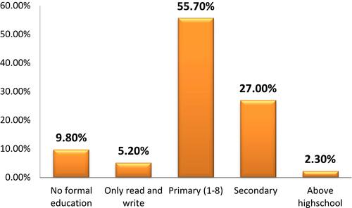 Figure 1 Raped adolescent girls’ level of education assessed in JUMC (n=174).