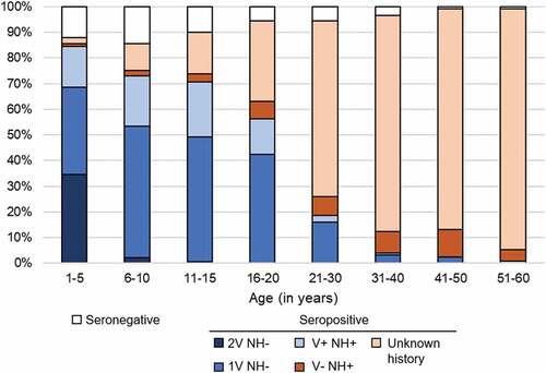 Figure 1. Measles immunity status by age group. NH = Natural History, V = Vaccination (any number of doses), 1 V = 1 dose of vaccine, 2 V = 2 doses of vaccine.